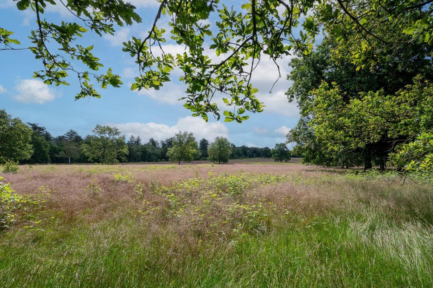 Landhuisje 31 'De Akkersteen' Bospark Ijsselheide Zwolle Hattemerbroek Ngoại thất bức ảnh